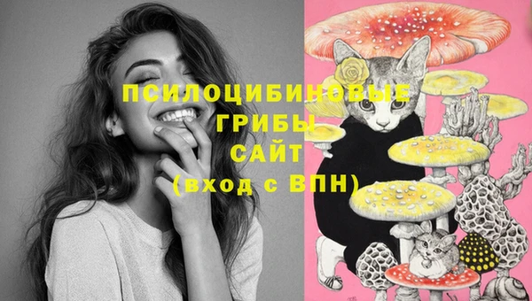 прущие грибы Белоозёрский