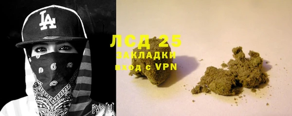 прущие грибы Белоозёрский