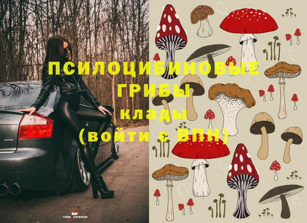 прущие грибы Белоозёрский