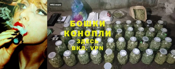 прущие грибы Белоозёрский