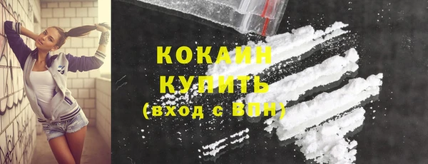 прущие грибы Белоозёрский
