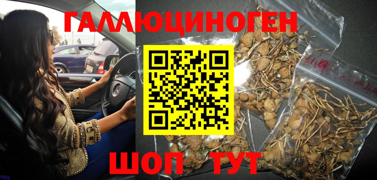 Псилоцибиновые грибы Magic Shrooms Дагестанские Огни