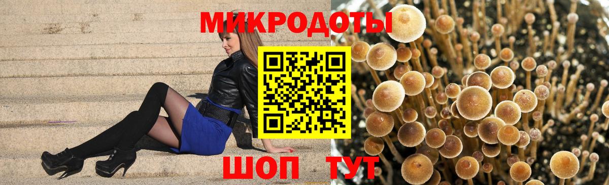 Галлюциногенные грибы GOLDEN TEACHER  наркотики  Дагестанские Огни  Вход с VPN 