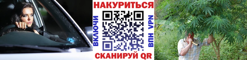 Канабис Amnesia  купить наркотики цена  Дагестанские Огни 